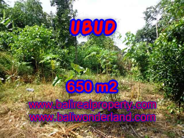 Land for sale in Bali, magnificent view Ubud Bali – TJUB417