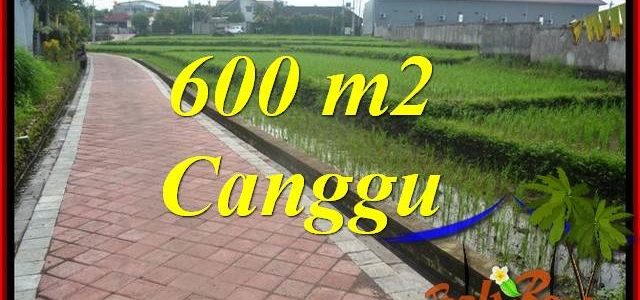 Magnificent PROPERTY 600 m2 LAND FOR SALE IN CANGGU BALI TJCG220