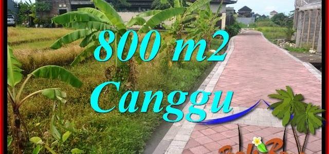 Beautiful PROPERTY 800 m2 LAND IN CANGGU BALI FOR SALE TJCG221