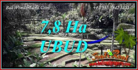 Beautiful 78,000 m2 Land in Ubud Payangan for sale TJUB741