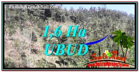 FOR SALE Exotic PROPERTY LAND IN UBUD TJUB748
