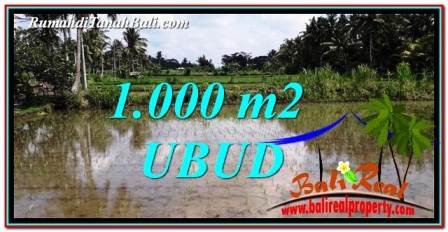 Magnificent PROPERTY Ubud Pejeng 1,000 m2 LAND FOR SALE TJUB753