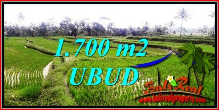 Affordable UBUD LAND FOR SALE TJUB745