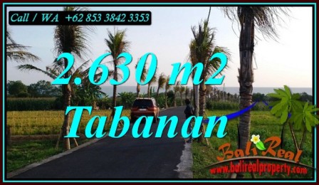 Beautiful SELEMADEG TABANAN BALI 2,630 m2 LAND FOR SALE TJTB451