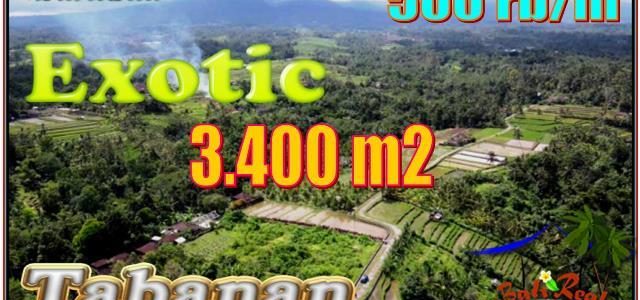 Exotic PROPERTY 3,400 m2 LAND SALE IN Penebel Tabanan BALI TJTB557