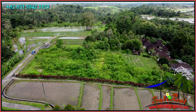 Exotic PROPERTY 3,400 m2 LAND SALE IN Penebel Tabanan  BALI TJTB557