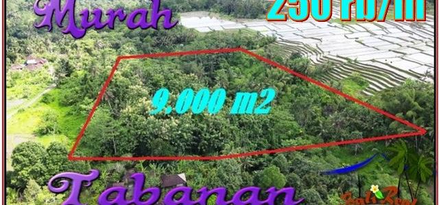Beautiful 9,000 m2 LAND SALE IN Penebel Tabanan BALI TJTB558