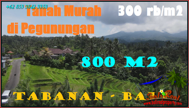 Exotic PROPERTY LAND FOR SALE IN Penebel Tabanan BALI TJTB568