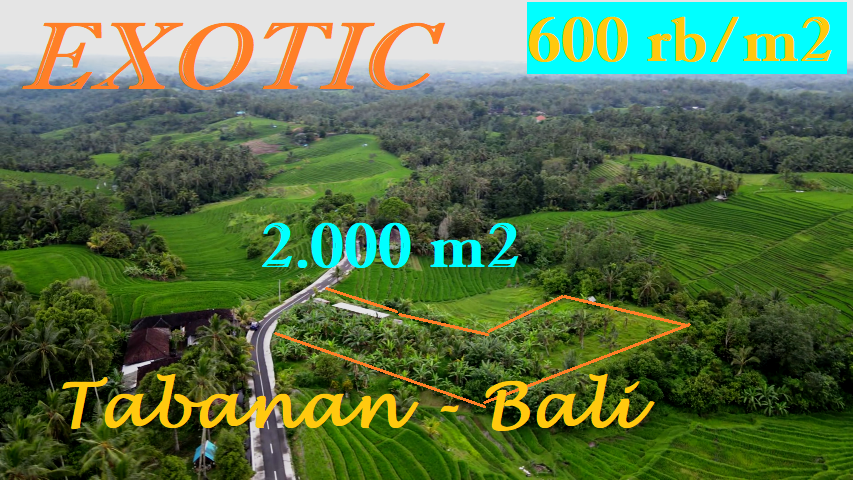 Beautiful PROPERTY 2,000 m2 LAND SALE IN TABANAN TJTB569