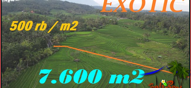 Affordable PROPERTY Selemadeg Timur Tabanan LAND FOR SALE TJTB570