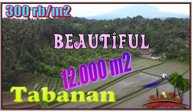 Cheap property LAND FOR SALE IN Pupuan Tabanan TJTB554