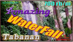 Exotic TABANAN BALI LAND FOR SALE TJTB555