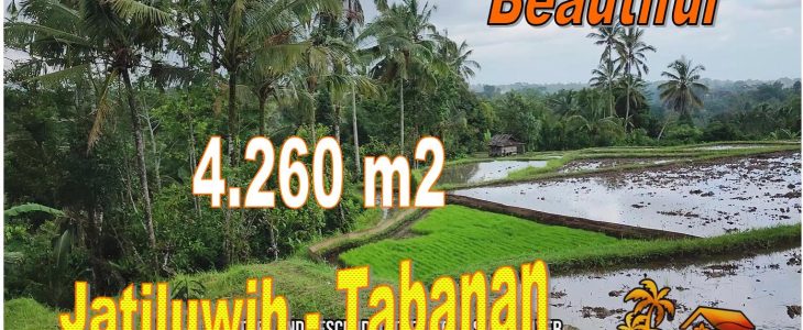 4,260 m2 LAND FOR SALE IN Penebel Tabanan BALI TJTB706