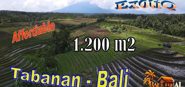 Magnificent PROPERTY 1,200 m2 LAND FOR SALE IN TABANAN TJTB724