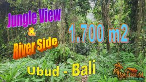 FOR SALE Beautiful 1,700 m2 LAND in Sukawati Ubud BALI TJUB856