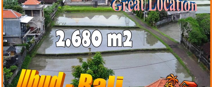 Affordable 2,680 m2 LAND for SALE in Ubud BALI TJUB855