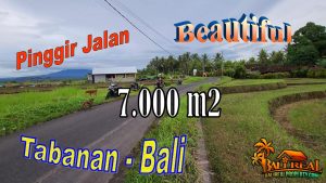 7,000 m2 LAND SALE IN Selemadeg Timur Tabanan TJTB729