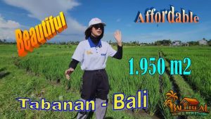Affordable LAND SALE IN TABANAN BALI TJTB731